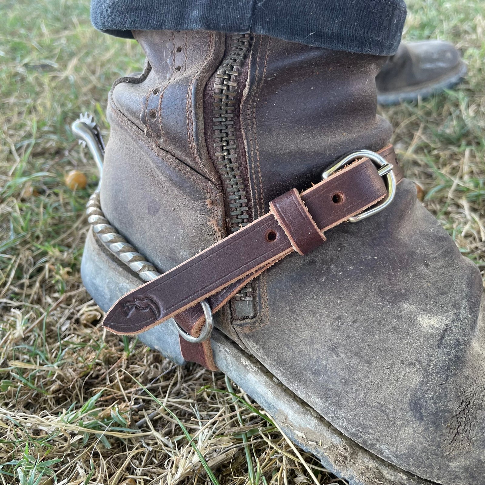 Lanières d'éperons – Image 2