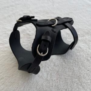 Harnais "Rouge-Gorge"