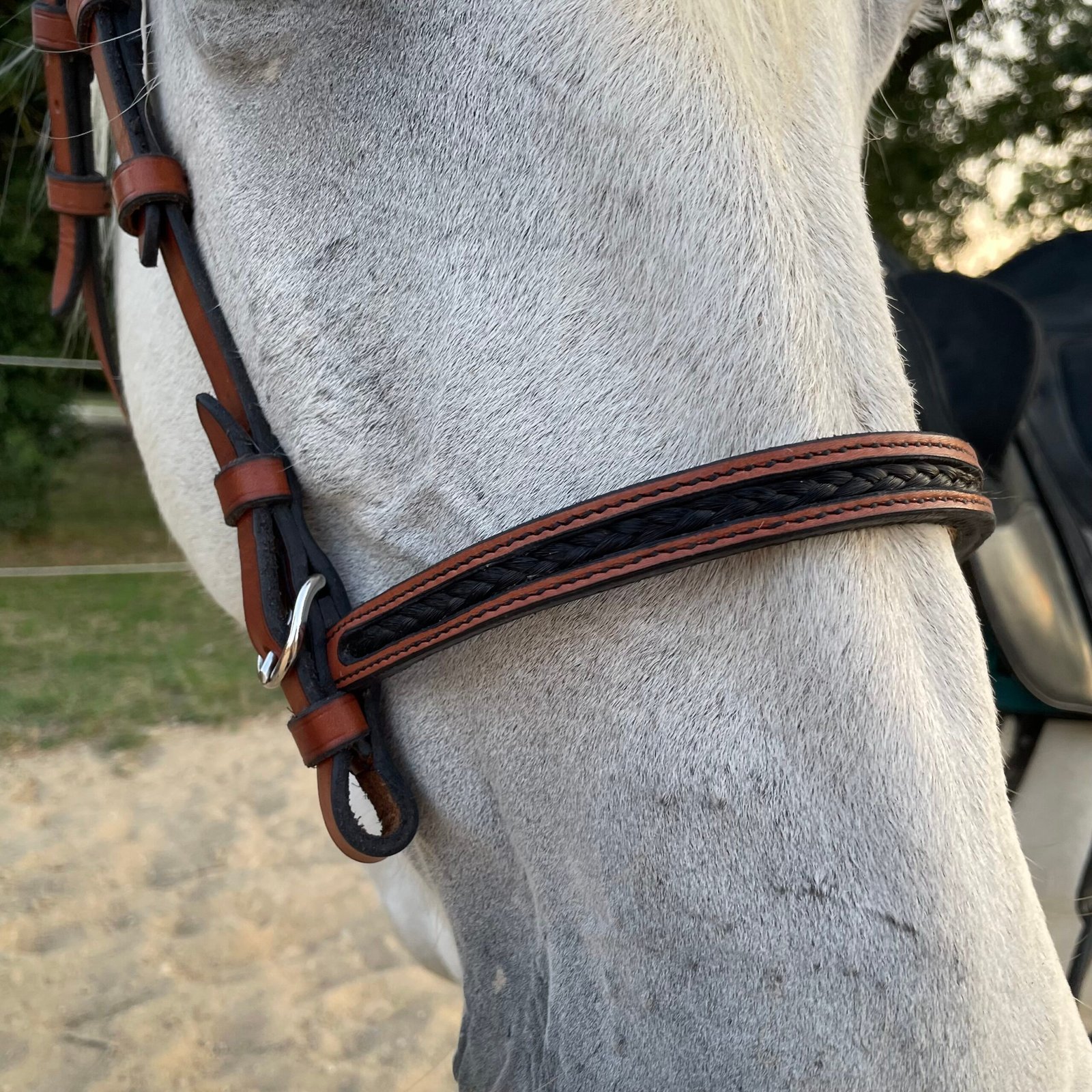 Bridon "Inséparables" – Image 4