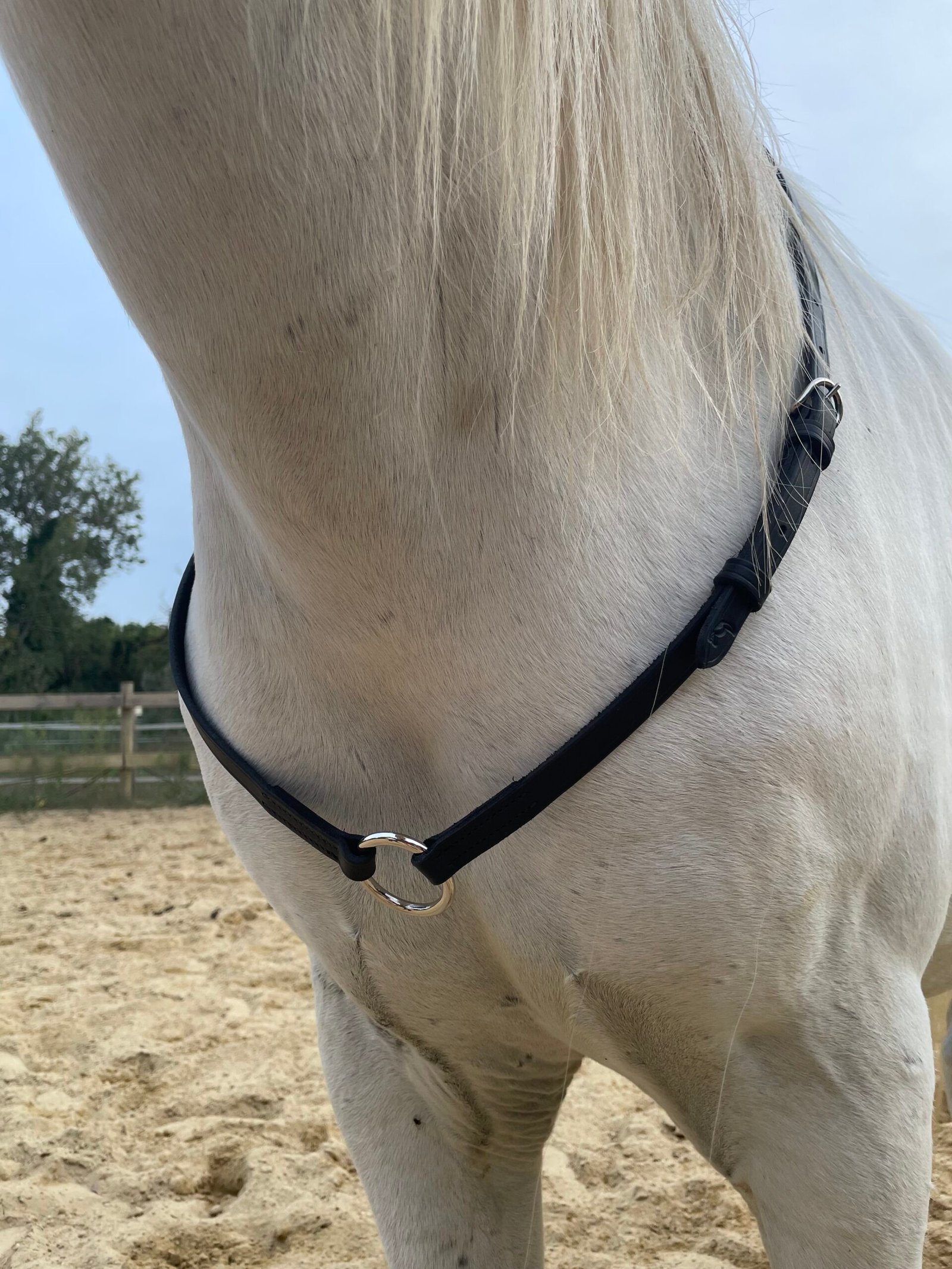 Cordelette Cuir - Réglable – Image 3