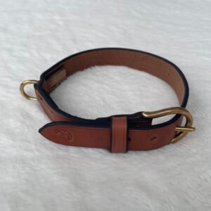 Collier "Rouge-Gorge" - Grand Chien